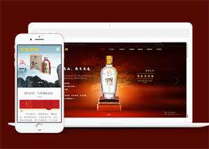 酒业包装设计类网站前端模板下载-星网科技 Grdy.cn