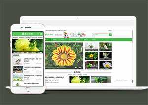 响应式花卉养殖资讯类前端模板-星网科技 Grdy.cn