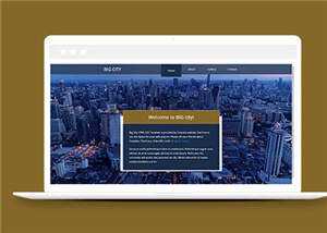 都市切换介绍企业网页源码模板-星网科技 Grdy.cn