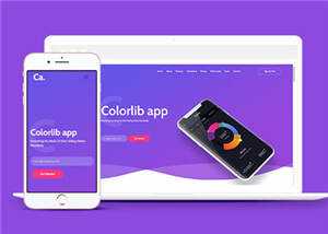 宽屏APP项目展示响应式网页模板下载-星网科技 Grdy.cn