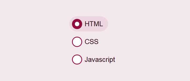 css3美化单选按钮点击选中动画特效-星网科技 Grdy.cn