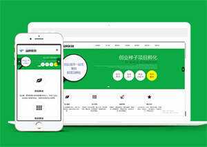 简洁品牌策划类网站前端模板下载-星网科技 Grdy.cn