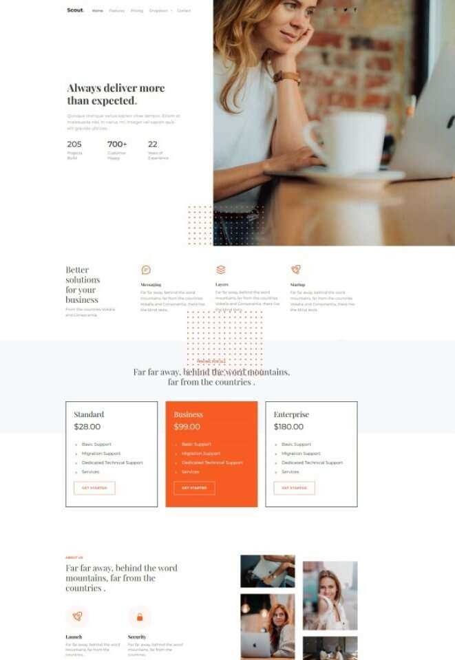 Bootstrap商务咨询服务公司网站HTML模板-星网科技 Grdy.cn