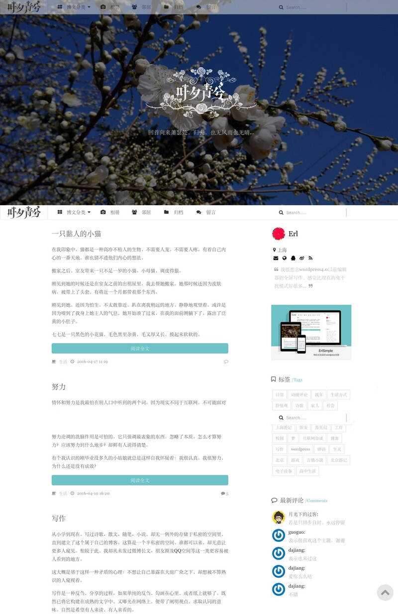 wordpress极简优秀的博客主题–ErlSimpleV1.5主题-星网科技 Grdy.cn