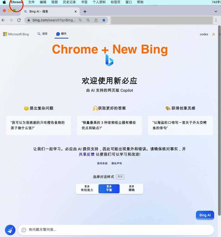 微软New Bing完美聊天机器人源码，支持ChatGPT提示词 国内可用，基本兼容微软 Bing AI 所有功能-星网科技 Grdy.cn