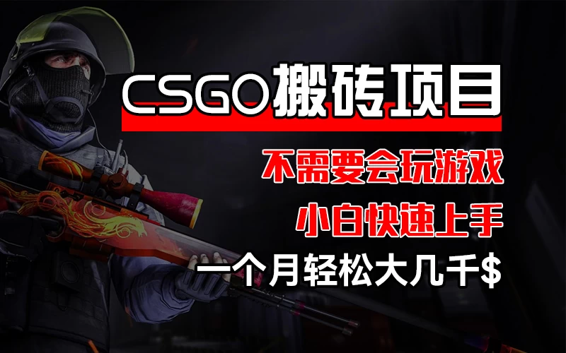 CSGO 装备搬砖项目，操作简单，不需要会玩游戏，小白也能快速上手，一个月轻松大几千-星网科技 Grdy.cn