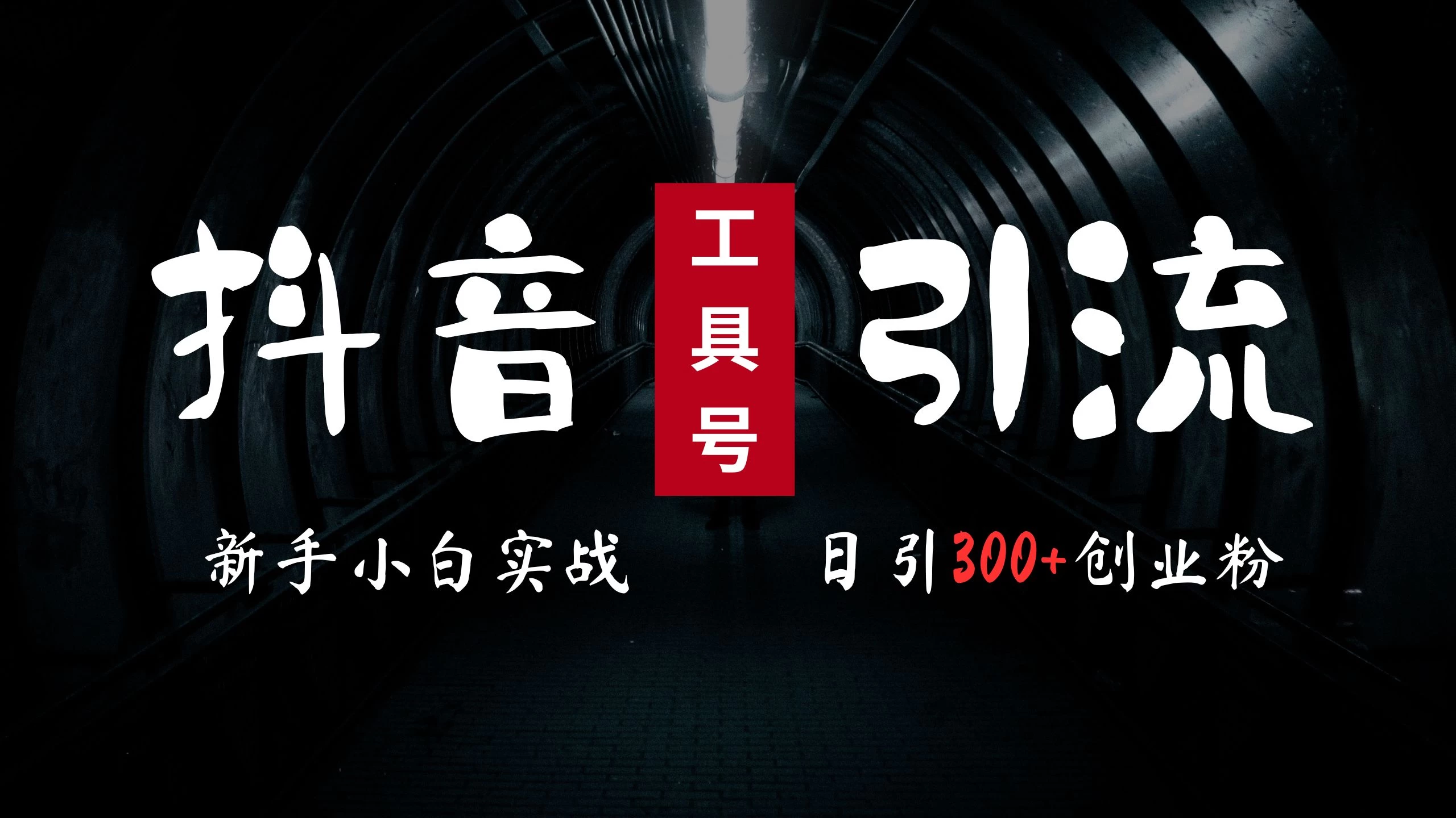2024最新抖音工具号引流玩法，高效日引300+创业粉，当天变现5000+，小白也可成为实战高手-星网科技 Grdy.cn