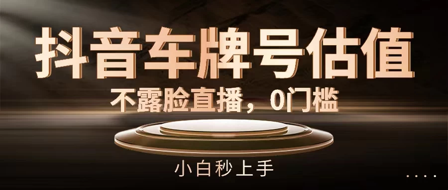 抖音车牌号估值，不露脸直播，0门槛，小白秒上手-星网科技 Grdy.cn
