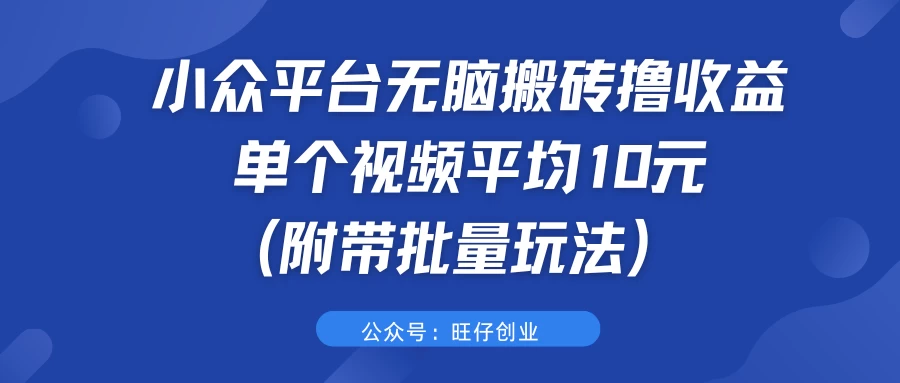 小众平台无脑搬砖撸收益，单个视频平均10元 (附带批量玩法）-星网科技 Grdy.cn