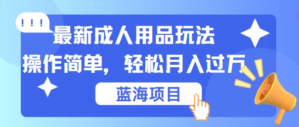 最新成人用品项目玩法，操作简单，蓝海项目轻松月入过万-星网科技 Grdy.cn