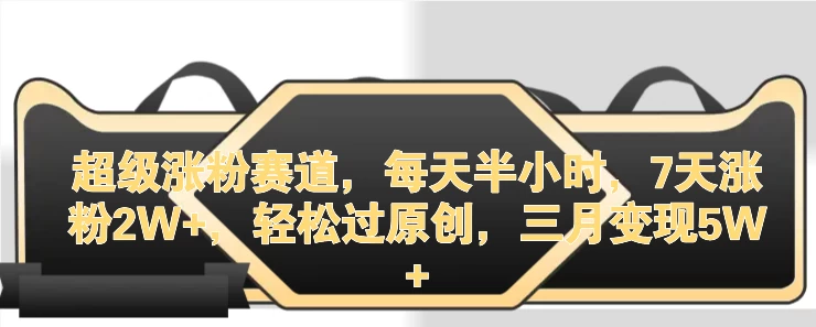 超级涨粉赛道，每天半小时，7天涨粉2W+，轻松过原创，三月变现5W+-星网科技 Grdy.cn