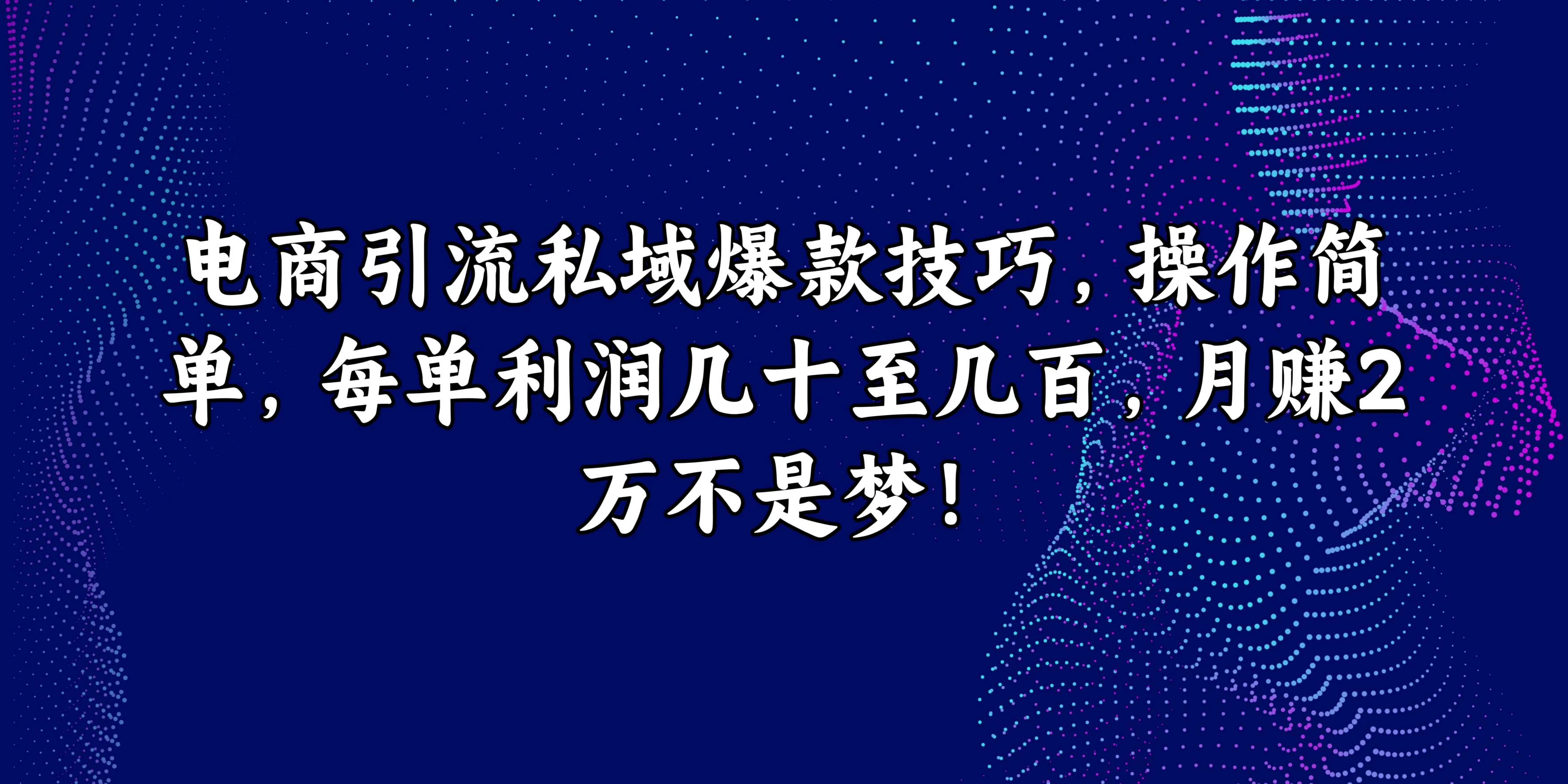 电商引流私域爆款技巧，操作简单，每单利润几十至几百，月赚2万不是梦！-星网科技 Grdy.cn