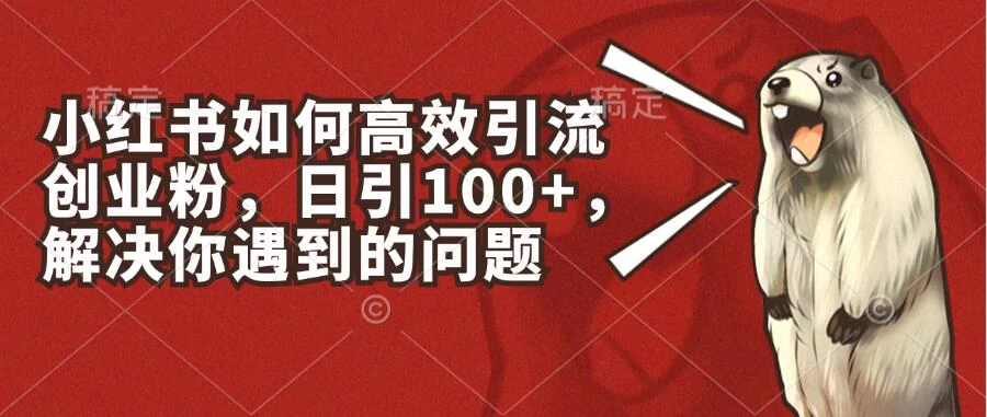 小红书如何高效引流创业粉，日引100+，解决你遇到的问题-星网科技 Grdy.cn