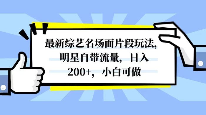 最新综艺名场面片段玩法，明星自带流量，日入200+，小白可做-星网科技 Grdy.cn