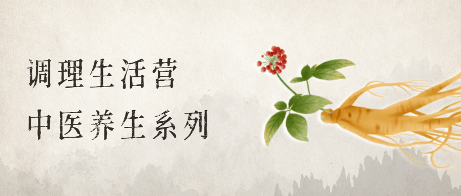 调理生活营：中医养生系列-星网科技 Grdy.cn
