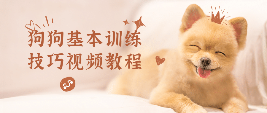 狗狗基本训练技巧视频教程-星网科技 Grdy.cn