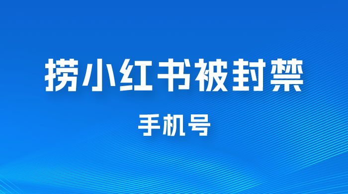 捞小红书被封禁手机号，小红书被封号禁言账号手机换绑-星网科技 Grdy.cn