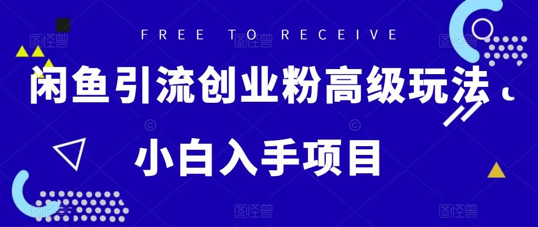 闲鱼引流创业粉高级玩法，单日引流200+，稳定收益2000+，小白入手项目-星网科技 Grdy.cn