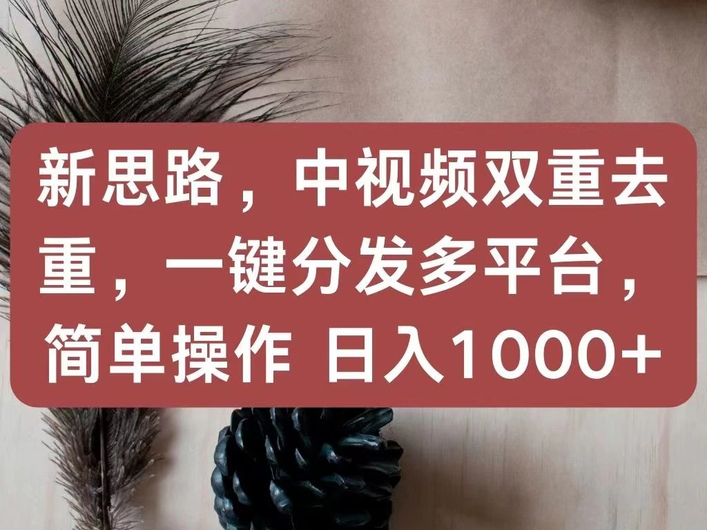 新思路，中视频双重去重，一键分发多平台，简单操作，日入1000+！快来试试吧！-星网科技 Grdy.cn