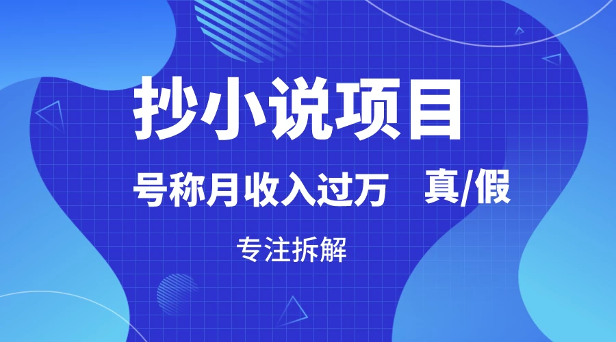 抄小说项目，号称月入过万，到底是否真实，能不能做，详细拆解-星网科技 Grdy.cn