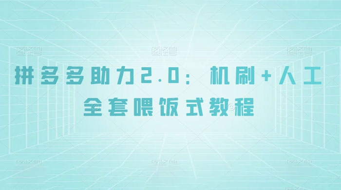 拼夕夕助力 2.0 新玩法：机刷+人工全套交付，喂饭式教程-星网科技 Grdy.cn