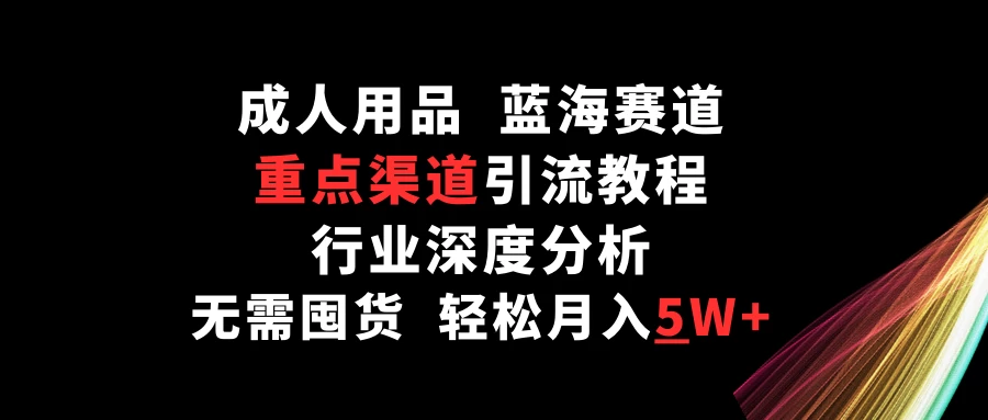 成人用品，蓝海赛道，重点渠道引流教程，行业深度分析，无需囤货，轻松月入5W+-星网科技 Grdy.cn