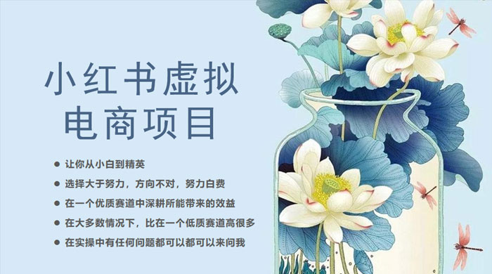 小红书虚拟电商从 0 到 1 ：让你从小白到精英（ 20 节实操课程）-星网科技 Grdy.cn