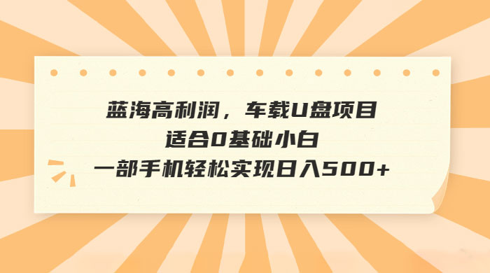 蓝海高利润，车载 U 盘项目，适合 0 基础小白-星网科技 Grdy.cn