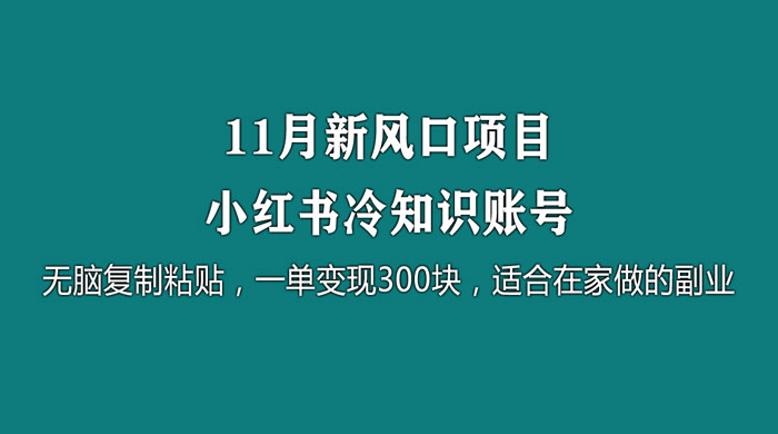 11 月新风口项目，小红书冷知识账号，无脑复制粘贴，一单变现 300 块，适合在家做的副业-星网科技 Grdy.cn