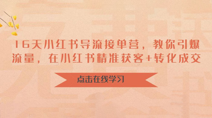 16 天小红书导流接单营：教你引爆流量，在小红书精准获客+转化成交-星网科技 Grdy.cn