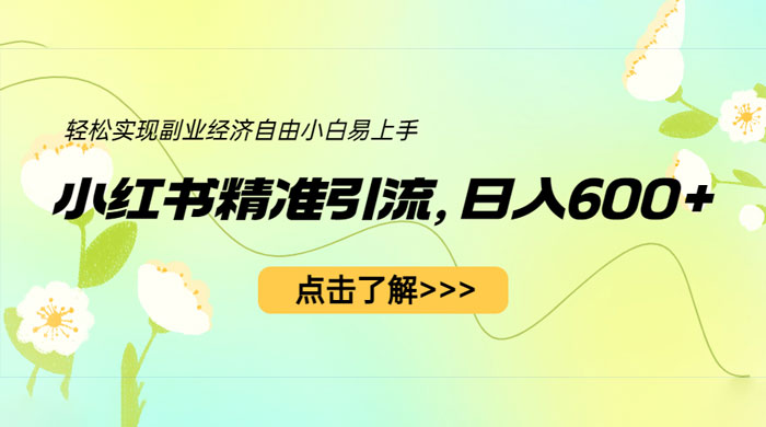 小红书精准引流：轻松实现副业经济自由（教程 + 1153G 资源）-星网科技 Grdy.cn
