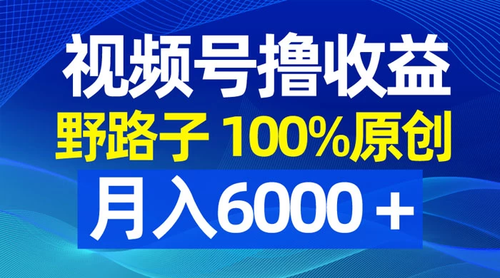 视频号野路子撸收益，100% 原创，条条爆款，月入 6000+-星网科技 Grdy.cn