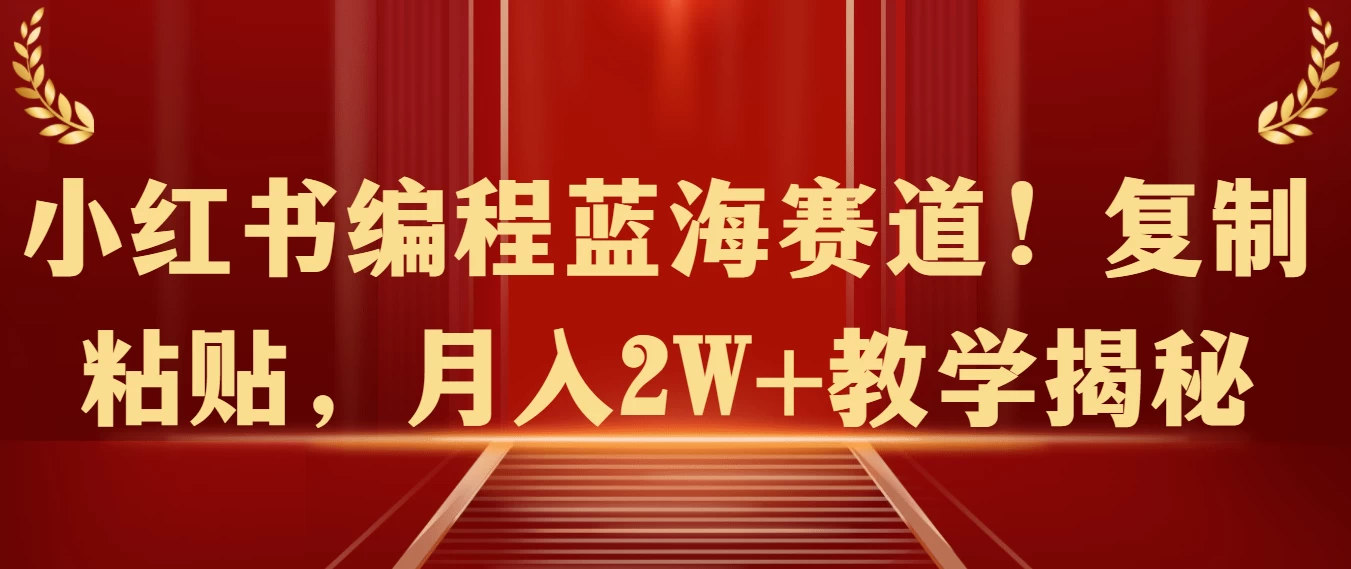 小红书编程蓝海赛道！复制粘贴，月入2W+教学揭秘-星网科技 Grdy.cn