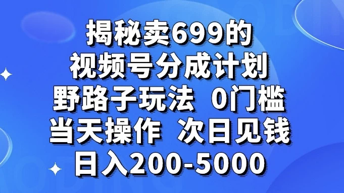 揭秘卖 699 的视频号分成计划野路子玩法，日入 200-5000，0 门槛，当天操作，次日见钱-星网科技 Grdy.cn
