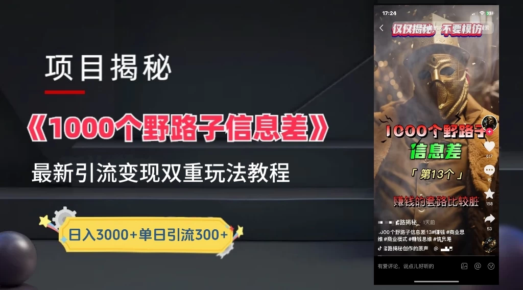 抖音最新一千个野路子玩法教程，变现+引流双重玩法，野路子信息差-星网科技 Grdy.cn