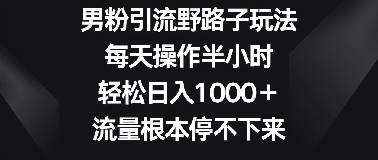 男粉引流野路子玩法，每天操作半小时轻松日入1000＋，流量根本停不下来-星网科技 Grdy.cn