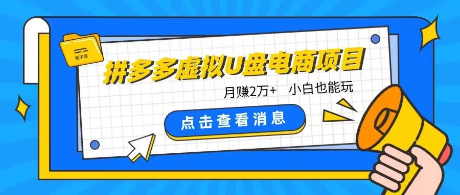 拼多多虚拟U盘电商红利项目：月赚2万+，新手小白也能玩-星网科技 Grdy.cn