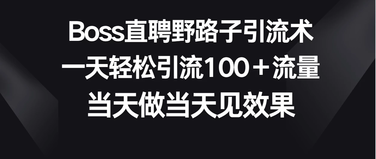 Boss直聘野路子引流术，一天轻松引流100+流量，当天做当天见效果-星网科技 Grdy.cn