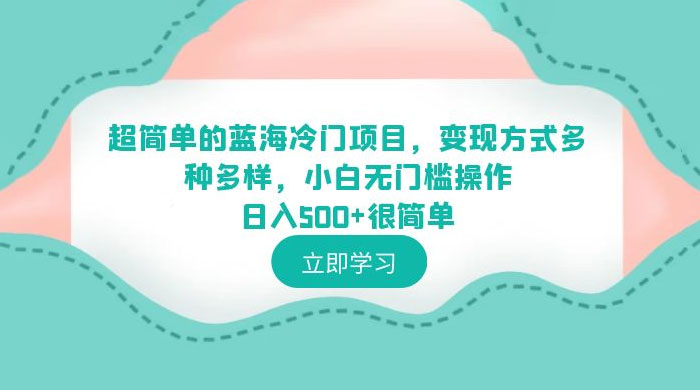 超简单的蓝海冷门项目：变现方式多种多样，小白无门槛操作很简单-星网科技 Grdy.cn