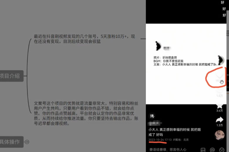 图片[2]-最新抖音暴力文案号，五天涨粉 10w+，喂饭级拆解教学-星网科技 Grdy.cn
