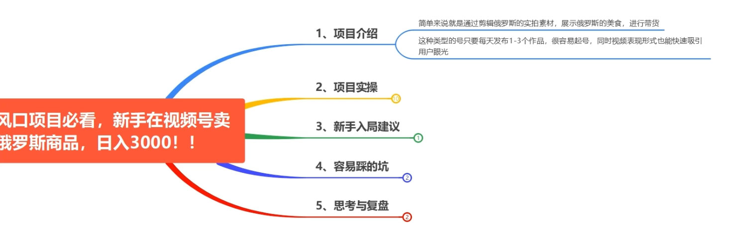 图片[2]-最近爆火的视频号卖俄品商品，项目详细拆解，收益高好操作！-星网科技 Grdy.cn