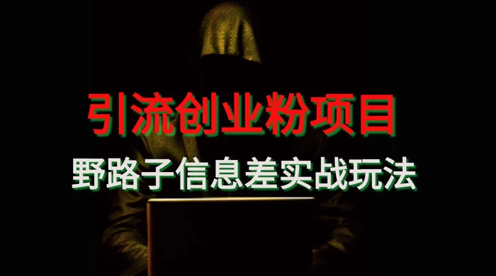 野路子信息差玩法实战教学，引流创业粉-星网科技 Grdy.cn