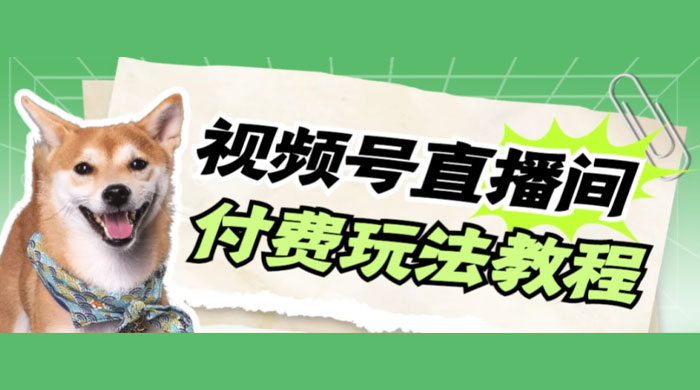 视频号美女付费无人直播，轻松日入500+（详细玩法教程）-星网科技 Grdy.cn