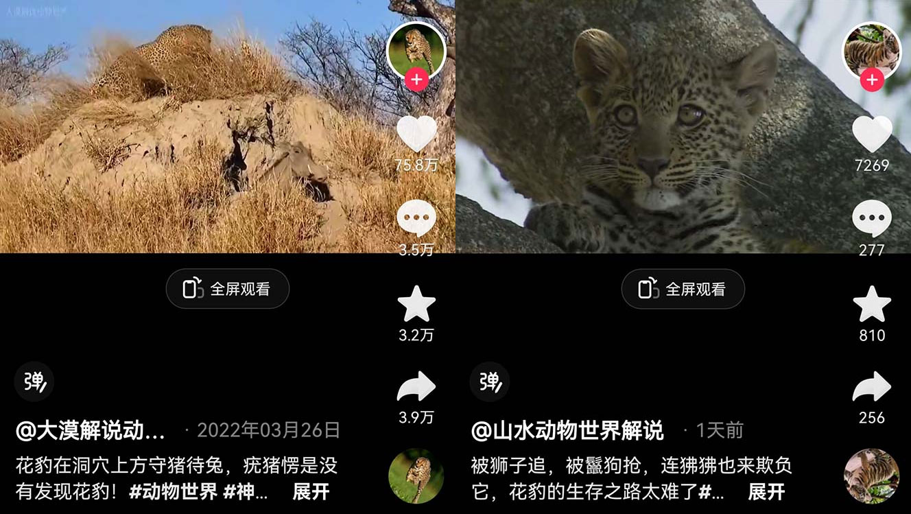 外面卖 1699 的国外纪录片解说：动物、美食、动画片解说，稳过中视频-星网科技 Grdy.cn