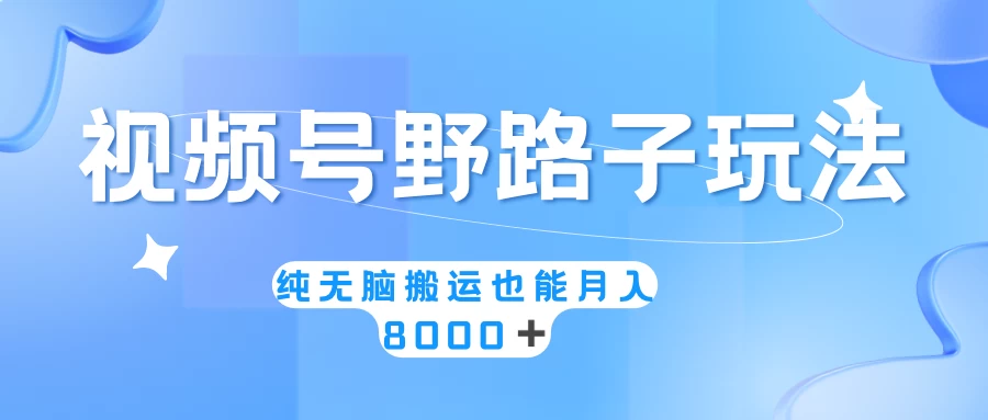 视频号野路子玩法，纯无脑搬运小白可做，月入8000+-星网科技 Grdy.cn