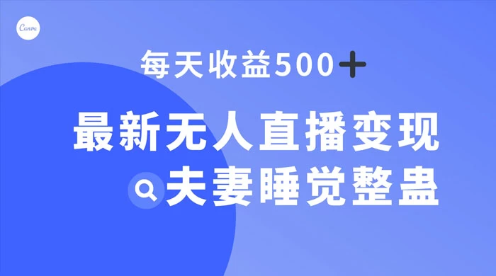 最新无人直播变现，夫妻睡觉整蛊，每天躺赚 500+-星网科技 Grdy.cn
