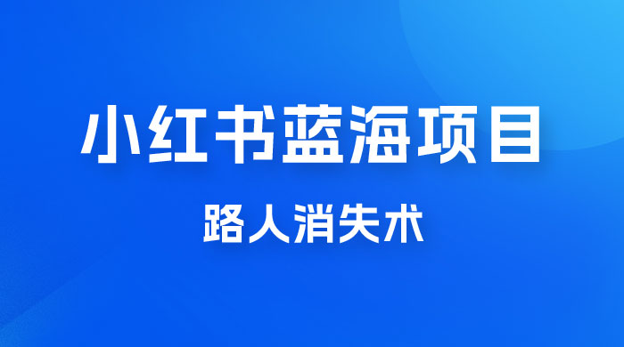 小红书蓝海项目，路人消失术，实测一天 300+-星网科技 Grdy.cn