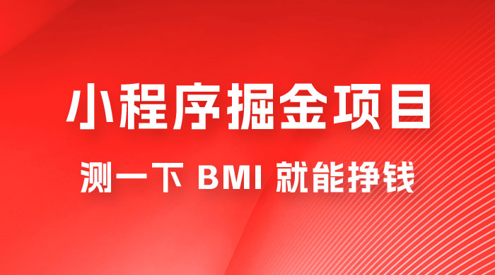 日入 300+ 的小程序掘金项目，测一下 BMI 就能挣钱-星网科技 Grdy.cn
