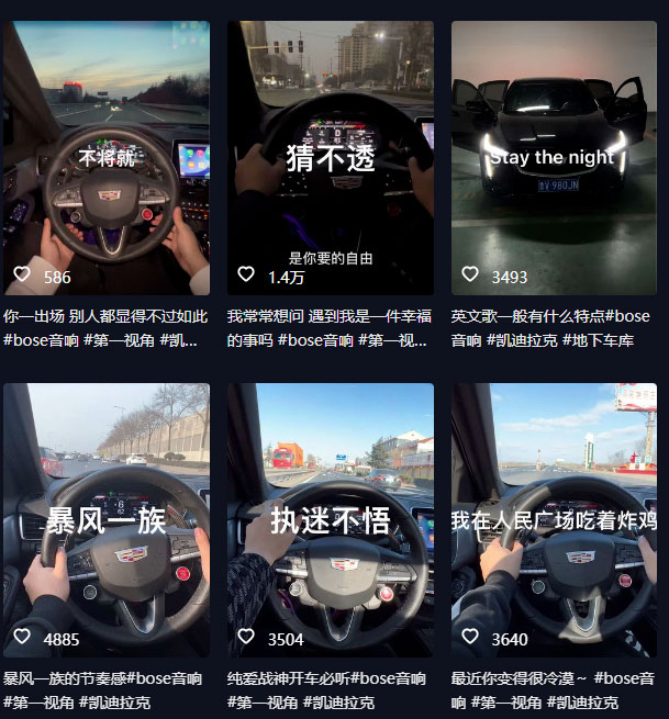 图片[2]-抖音开车视频项目：0基础操作，每天五分钟，月入过万-星网科技 Grdy.cn