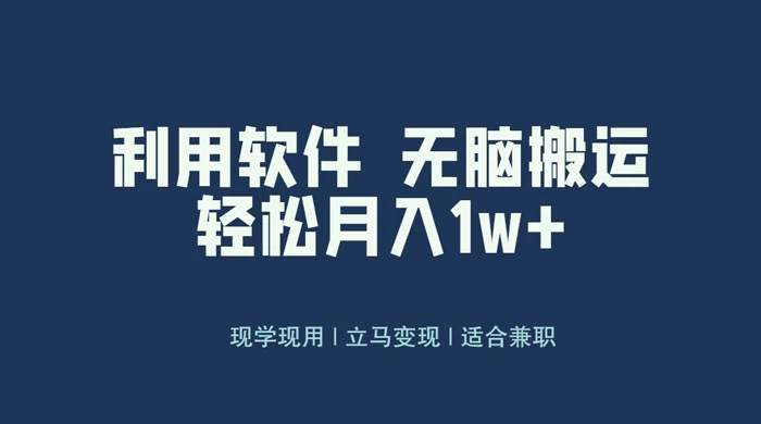 最新蓝海独家玩法，利用软件无脑搬运，小白轻松日入1000＋-星网科技 Grdy.cn